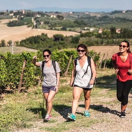 Borgo Divino Alloggio per agriturismo