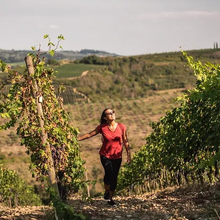 Alloggio per agriturismo Borgo Divino *
